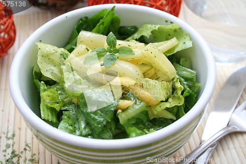 Image of Fresh salad