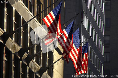 Image of Four american flags