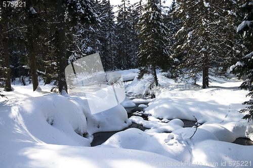 Image of Brook in winter