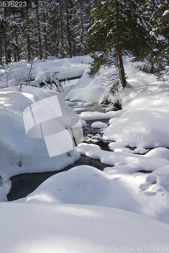 Image of Brook in winter