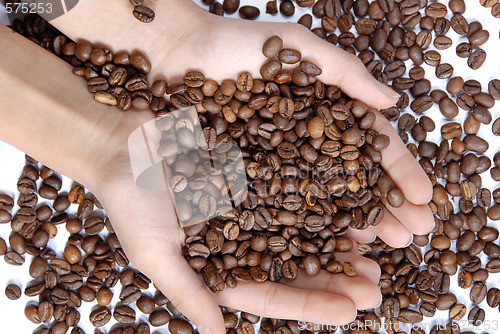 Image of Coffee beans in hands