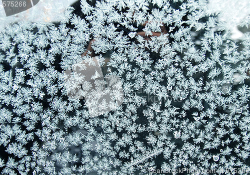 Image of Frost on glass