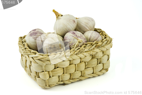 Image of Basket full of fresh garlics