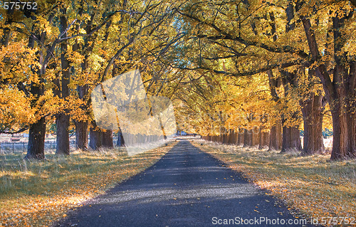 Image of autumn country road