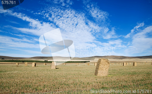 Image of rural farm landscape