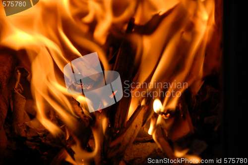 Image of Fire