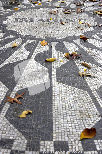 Image of Strawberry fields