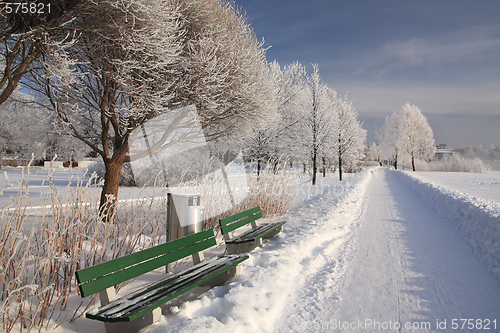 Image of Cold day