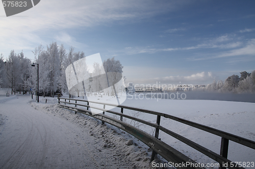 Image of Cold day