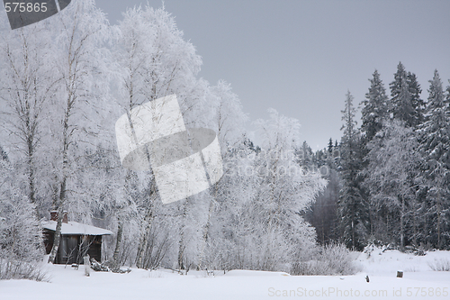 Image of House in winter