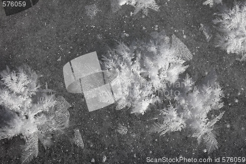 Image of Frost crystals