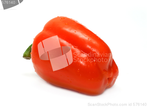 Image of Orange bulgarian pepper part four