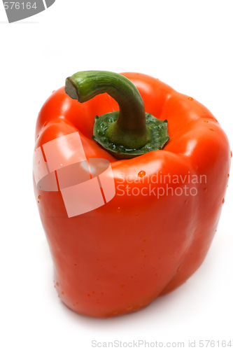 Image of Orange bulgarian pepper part two