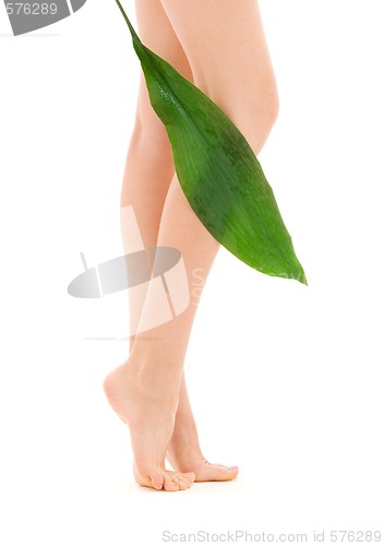 Image of female legs with green leaf