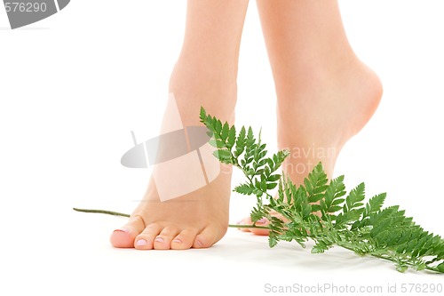 Image of female feet with green leaf