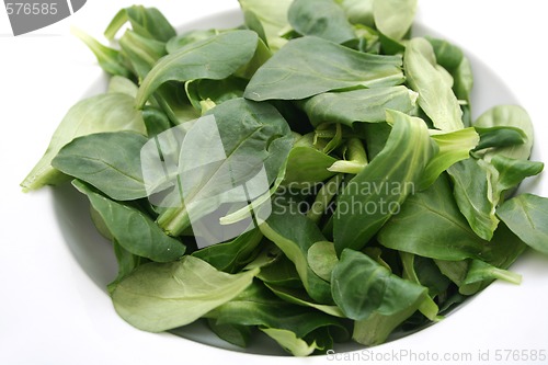 Image of fresh salad