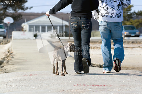 Image of Walking The Puppy