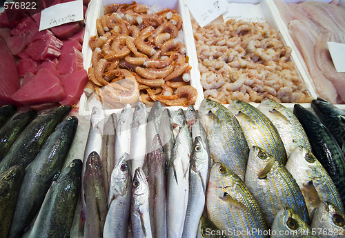 Image of seafood