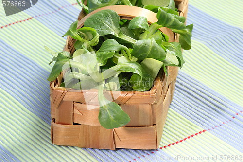 Image of Field salad