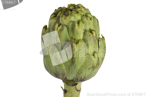 Image of Artichoke