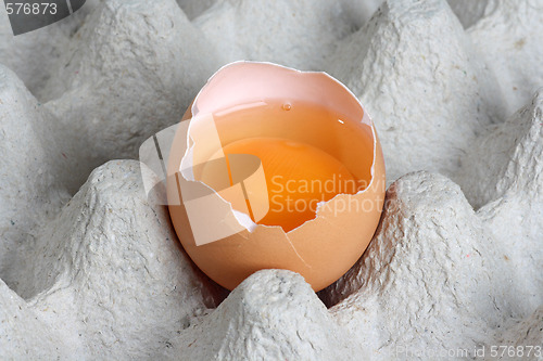 Image of Fresh eggs