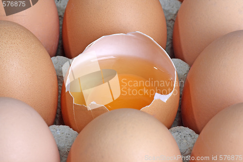 Image of Fresh eggs