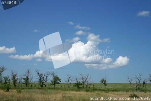 Image of Bushes and cloudy sky