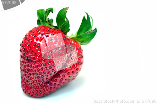 Image of Colorful strawberry