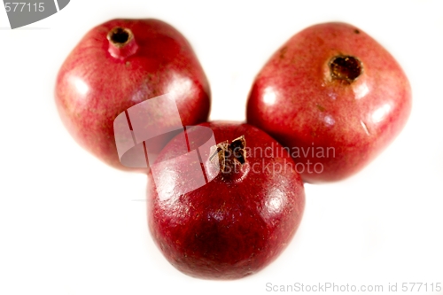 Image of Pomegranate