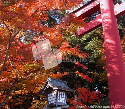 Image of Autumn temple gate