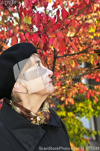 Image of Senior woman in fall park