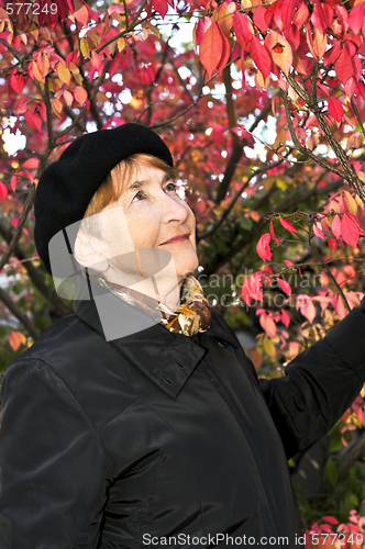 Image of Senior woman in fall park