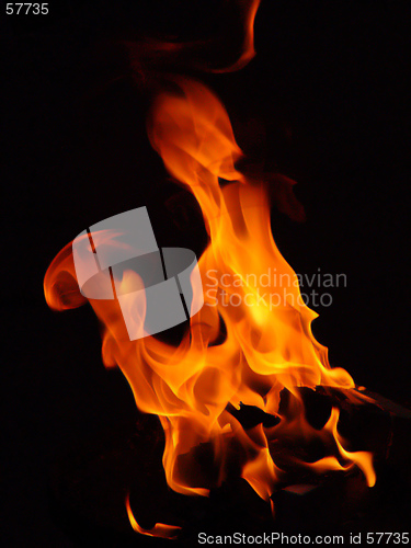 Image of Fire