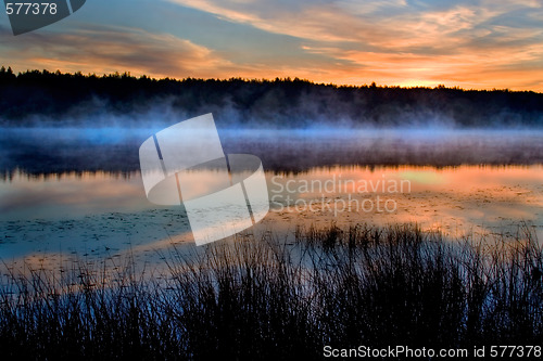 Image of The river and reeds in a fog