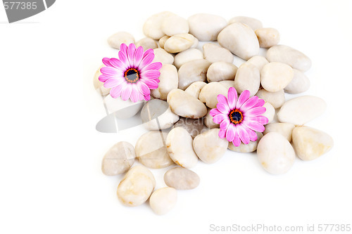 Image of stones and flowers