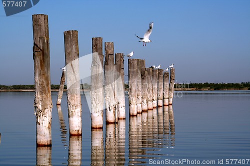 Image of Columns and flying seagulls