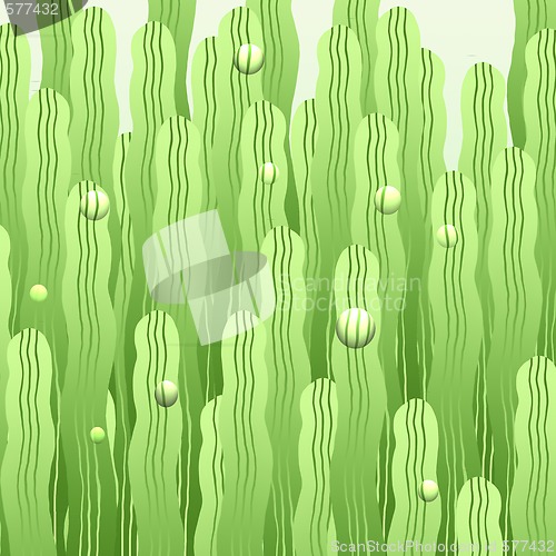 Image of texture 