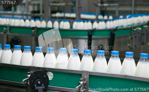 Image of Dairy Plant.