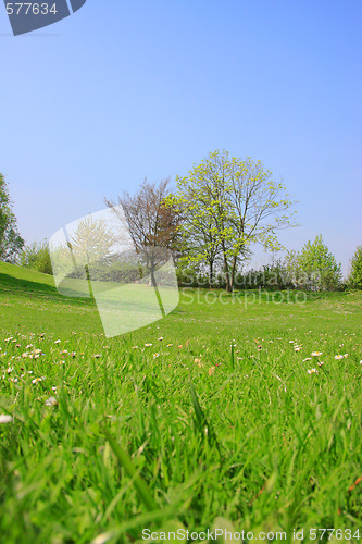 Image of Summer landscape
