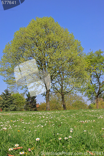 Image of Summer landscape