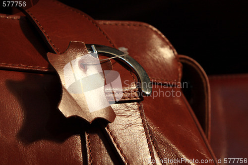 Image of leather bag