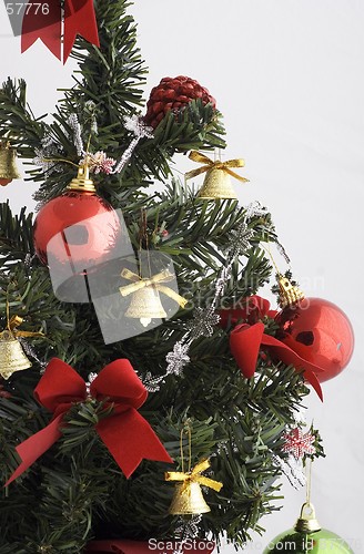Image of Christmas tree