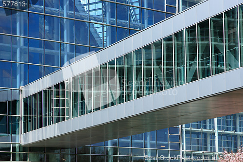 Image of The European Parliament