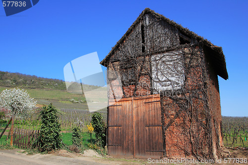 Image of Winery