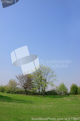 Image of Summer landscape