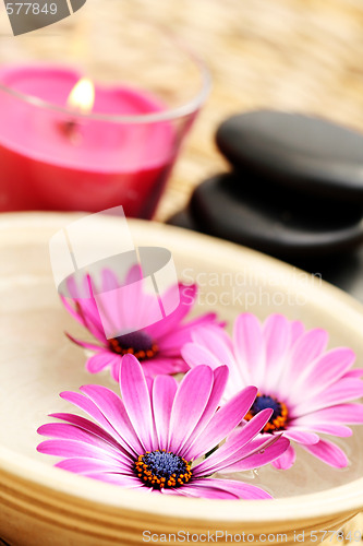 Image of floating flowers
