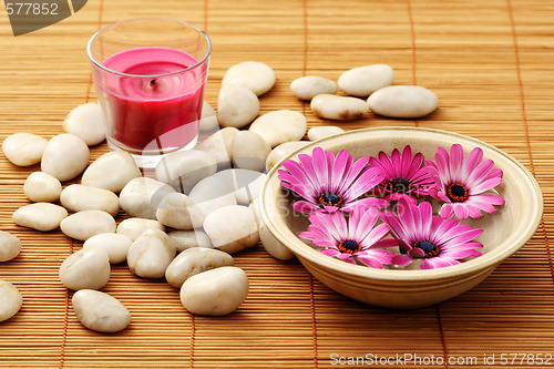 Image of floating flowers