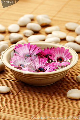 Image of floating flowers