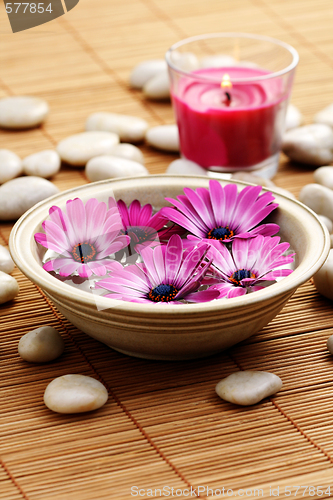 Image of floating flowers