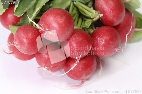 Image of Radish